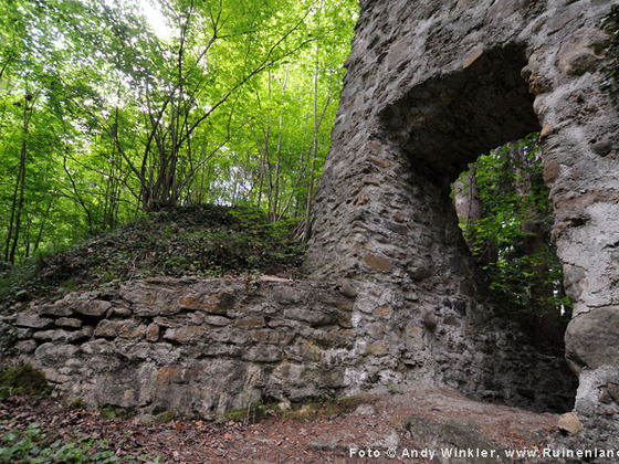Lochau, Burg Althofen
