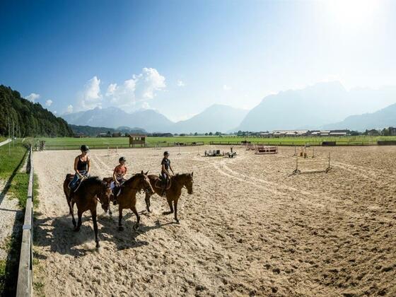 Reiten in Kuchl