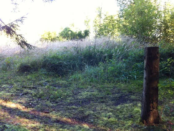 Nenzing, Scheibenstuhl u. Brandopferplatz