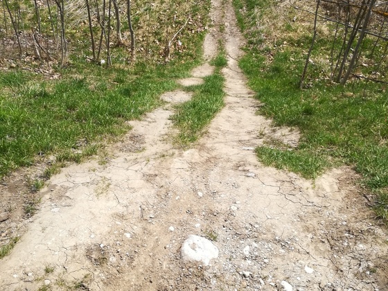 Einstiegsstelle Hubertussteg
