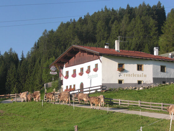 Froneben Alm