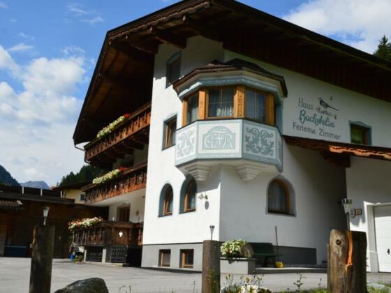 hausbachstelze neustift6