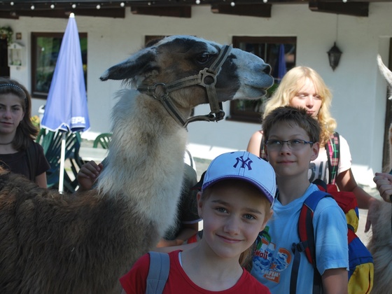 Kinderprogramm Drachenclub Wildschönau