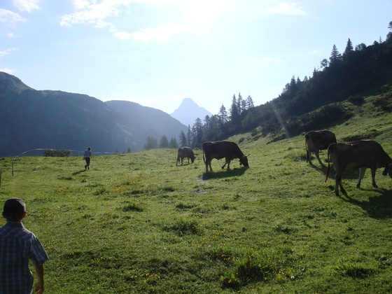 Holzbodenalpe