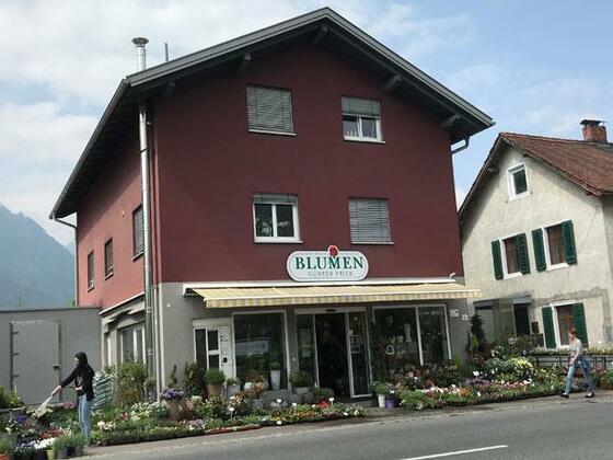 Blumen Frick