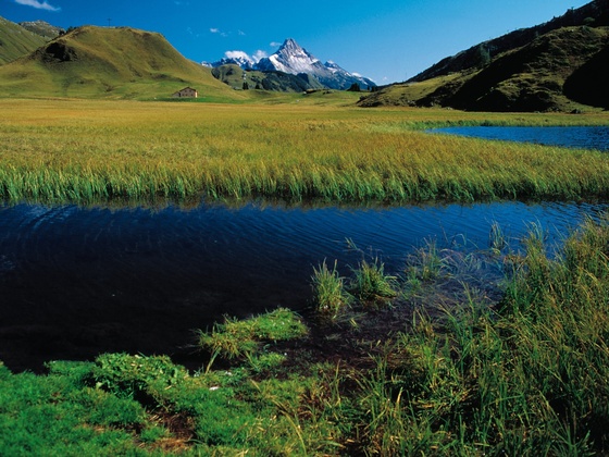Kalbelesee