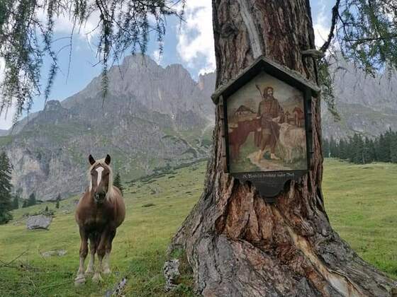 Bildstock Hl. Wendelin