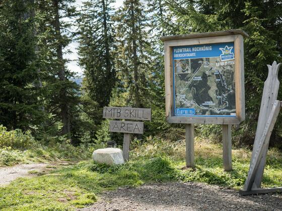 Skill Area/Pumptrack Start