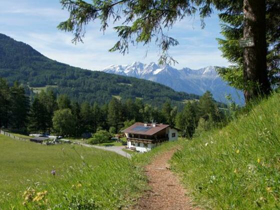 Natur am Appartement Riedhof