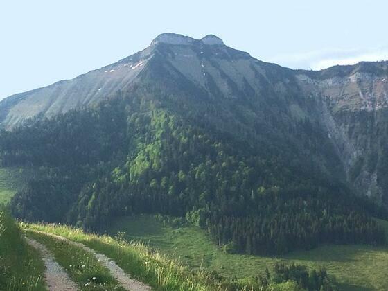 Schmittenstein