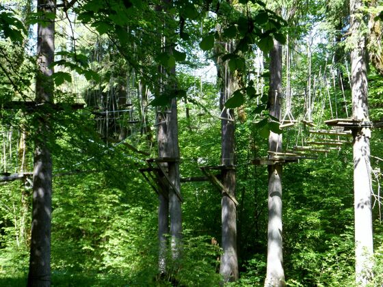 Wald- und Hochseilgarten