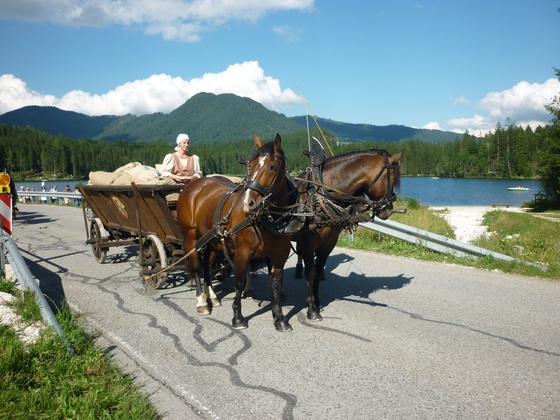 Pferdeschlitten- und Kutschenfahrten