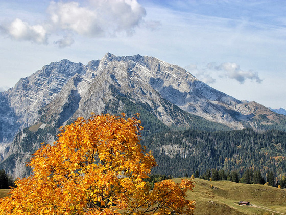 Büchsenalm vor dem Watzmann