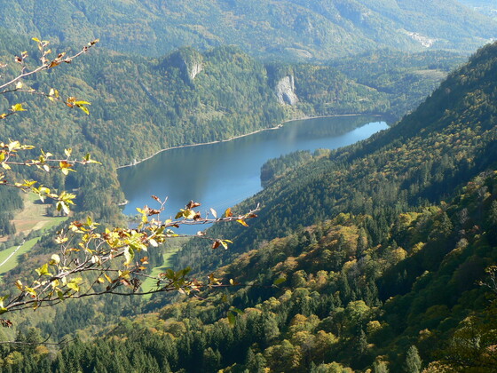 Am Weg Nr. 27 von der Vormaueralm zum Schafberg haben Sie einen wunderbaren Blick auf den Schwarzensee