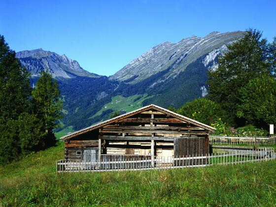 Natur-Erlebnis Holdamoos