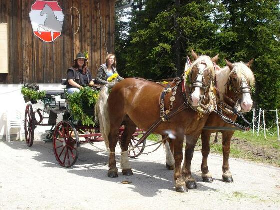 Pferdezentrum Katschberg