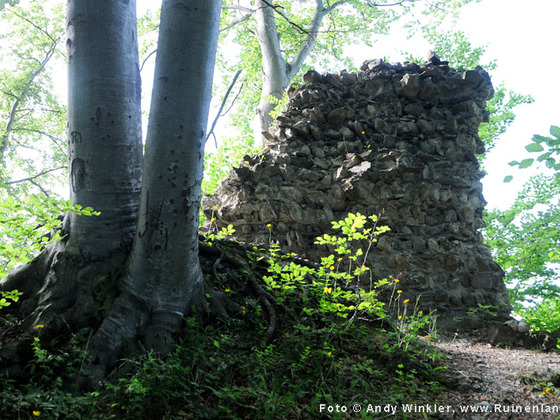 Weiler, Burgruine Alt Montfort