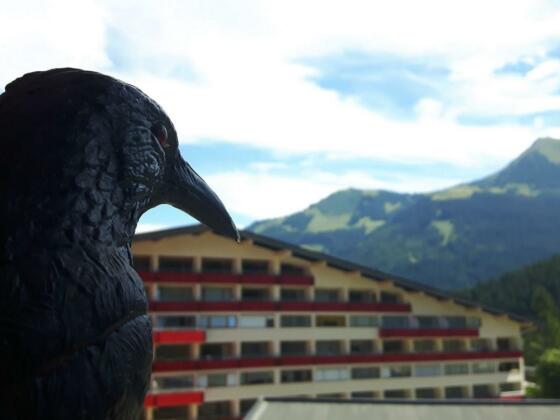 Ferienwohnung im Aparthotel Kleinwalsertal