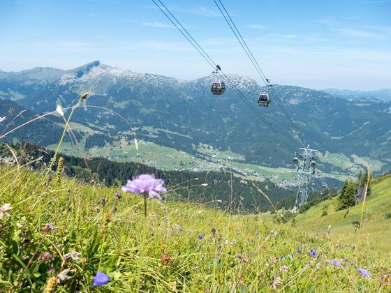 Blick auf die Kanzelwandbahn