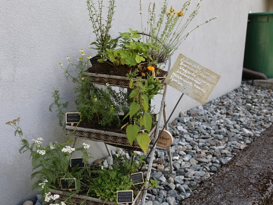 Kräuterweg "Probiar Amol" - Sabine Kössler