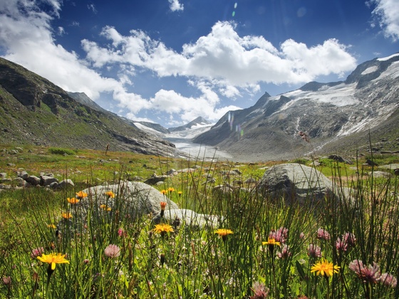 Talschluss Untersulzbachtal