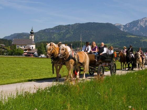 Kutschenfahrten mit Mathias Krall