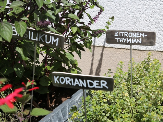Kräuterweg "Probiar Amol" - Helene Wakolbinger