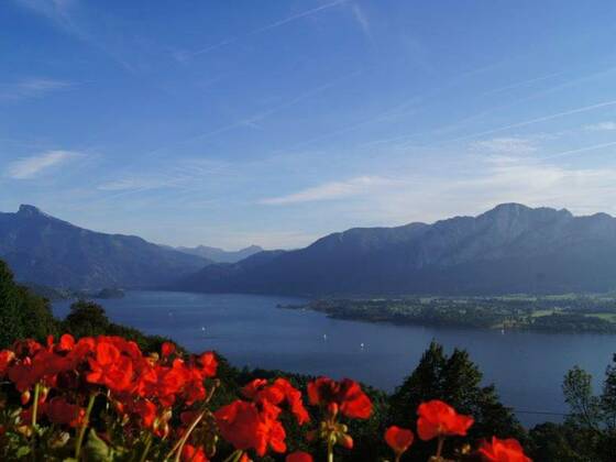 Ferienhof Gassner-Mondsee