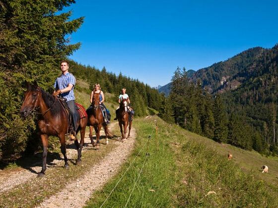 A-Ha Gestüt Edtbauer