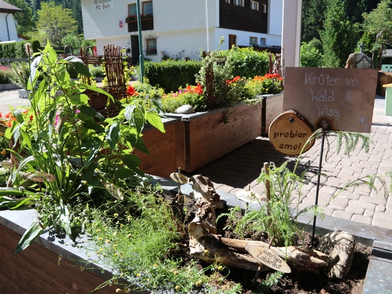 Kräuterweg "Probiar Amol" - Elfi Ganahl