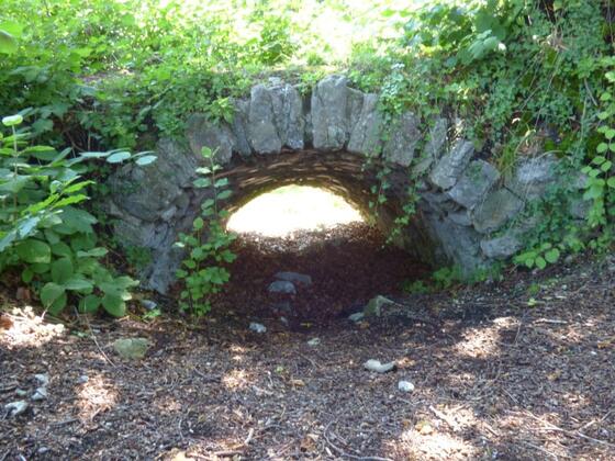 Tonnengewölbe des alten Burgaufganges