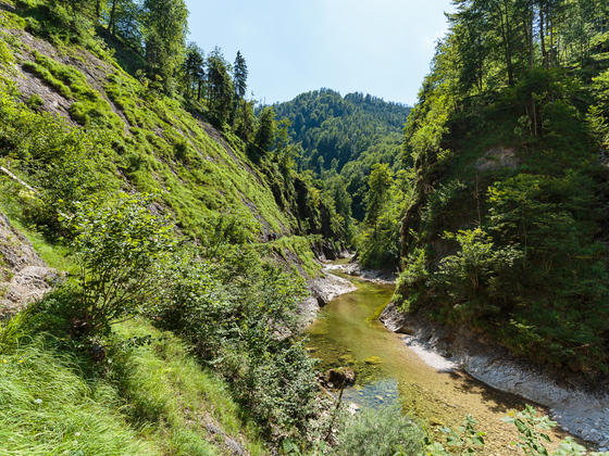 Trifftsteig