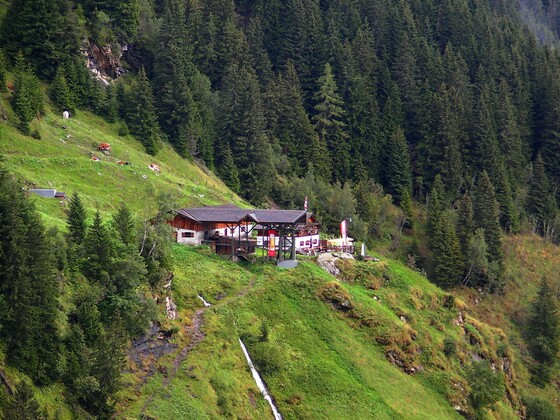 Walcher Grundalm von der Ferne