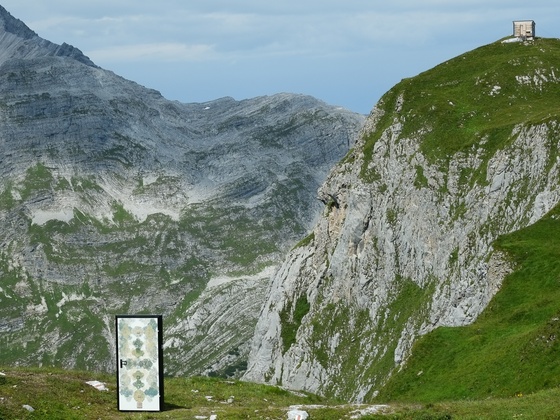 Türe Hrachya Vardanyan