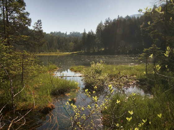 Riedener See