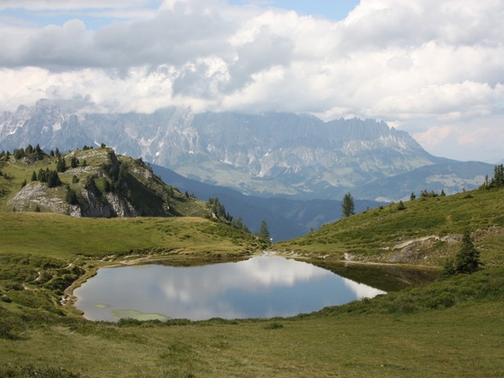 Paarseen