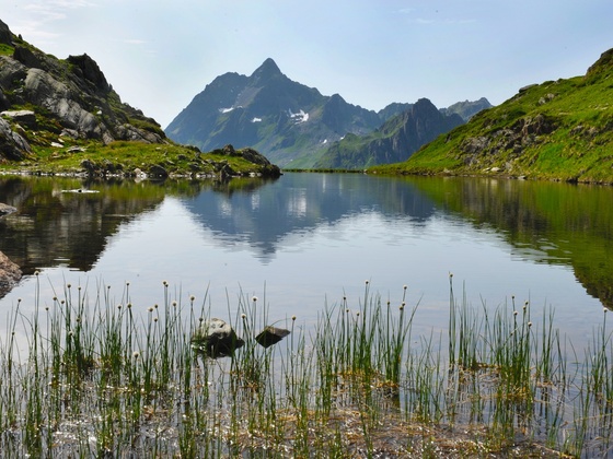 Vallülasee