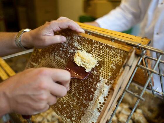 Klostertaler Bauerntafel - Familie Graf