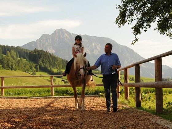 Pferdehof Kerschbach