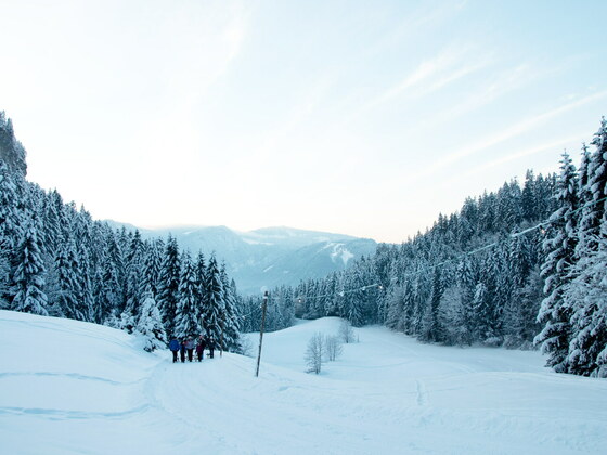 Rodelbahn Gschwend in Bezau