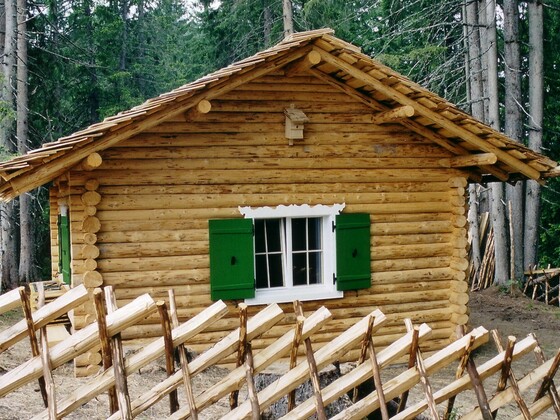 Waldschule