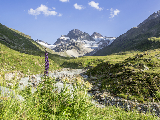 Piz Buin