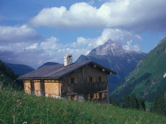 Wang-Hus