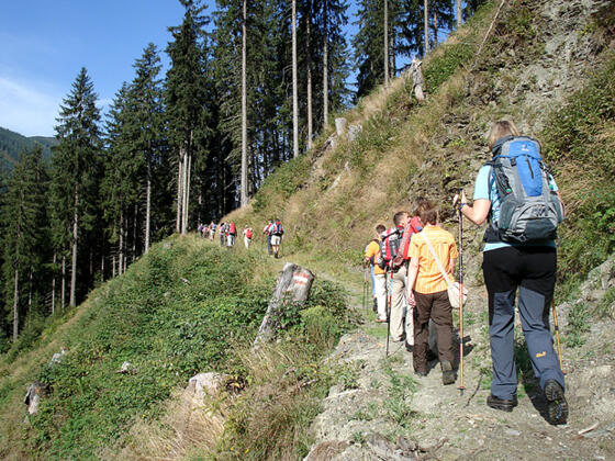 Der Weg durch das Mühlbachtal