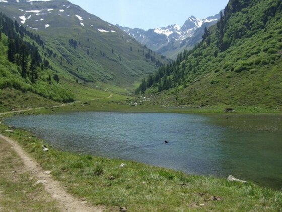 Urgsee