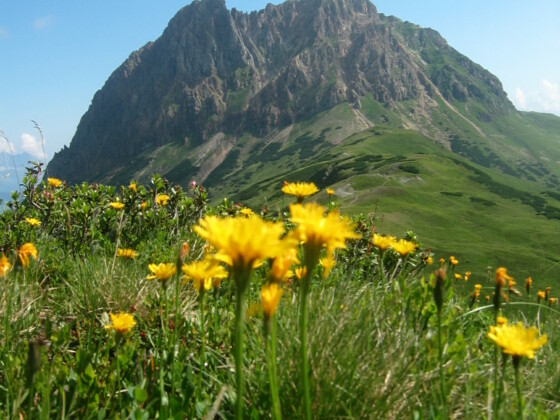 Der Gr. Rettenstein im Wildkogelgebiet - 2.362 m