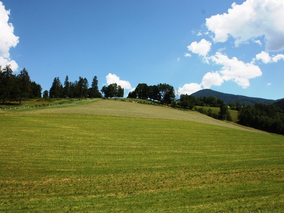 Rundhöcker Lehen