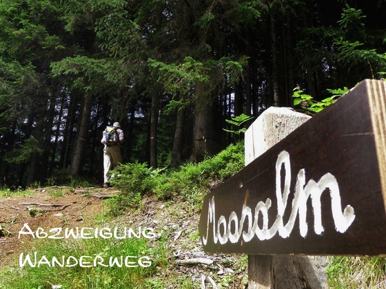 Abzweigung Wanderweg Moosalm