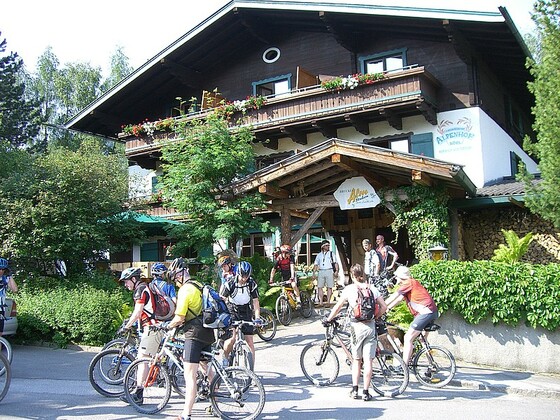Hotel Alpenhof ***