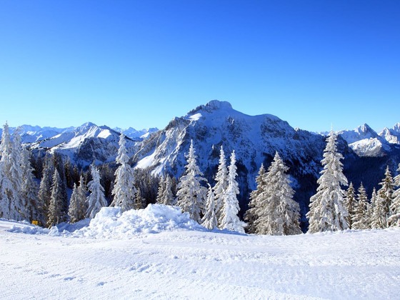 Blick vom Tegelberg richtung Säuling
